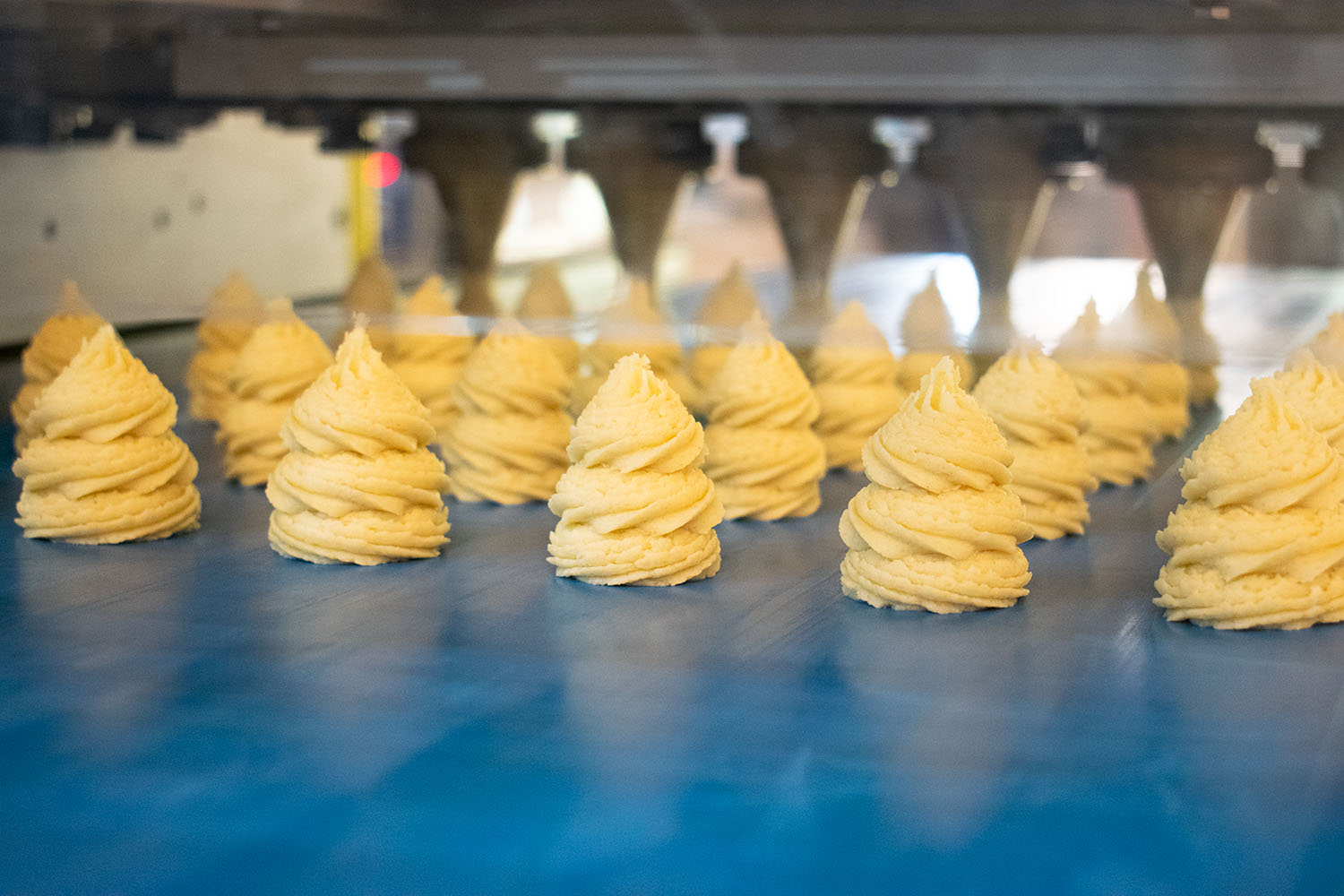 PANIFICAŢIE, PATISERIE, MORĂRIT